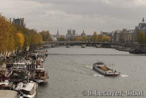 La Seine,quai des Tuileries,Notre-Dame,cathedrale,péniches