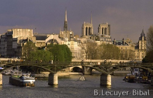 La Seine,île de la Cité,cathédrale Notre-Dame,péniche,passerelle des arts,pont,