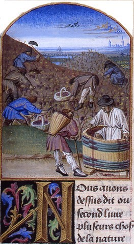 Manuscrit,Pierre de Crescent,le Rustican