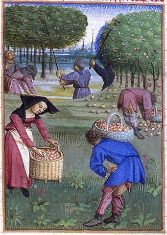 Le Rustican,Pierre de Crescent,manuscrit