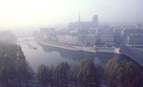 La Seine,île de la Cité,cathédrale Notre-Dame,péniche,brume,quai aux fleurs