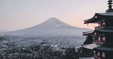 Which Japanese City is Most Suitable for You to Live in?