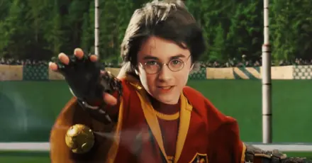 Quidditch Test - Test how much of a Quidditch fan you are in the Ultimate Quidditch Quiz!