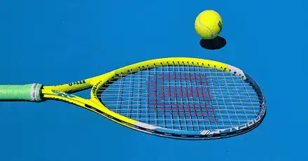 Are you a tennis super fan? Try to ace this quiz, only 5% can