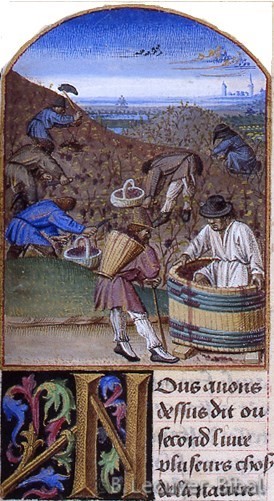 Manuscrit,Pierre de Crescent,le Rustican