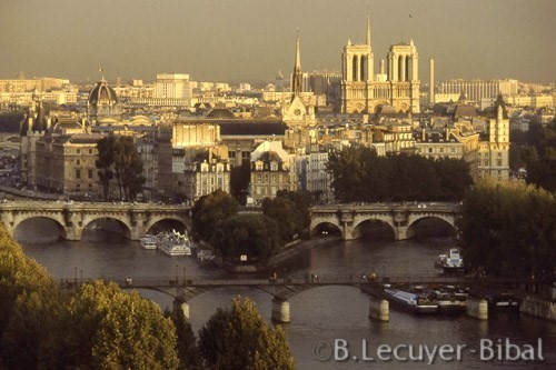 La Seine,île de la Cité,pont des Arts,pont neuf,notre dame