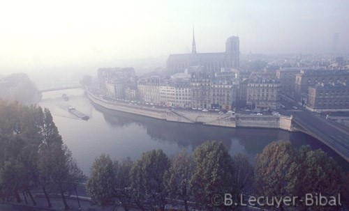 La Seine,île de la Cité,cathédrale Notre-Dame,péniche,brume,quai aux fleurs