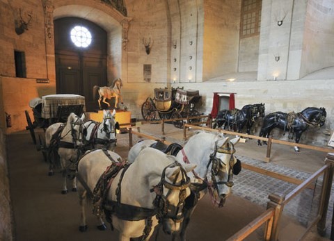 nef ouest,musée Vivant du Cheval,caleche,chevaux